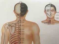 强间的功效与作用