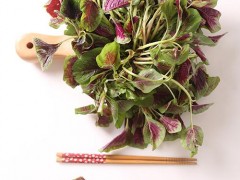 孕妇四个月误吃红苋菜 孕妇能吃红苋菜吗