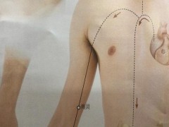 青灵的功效与作用