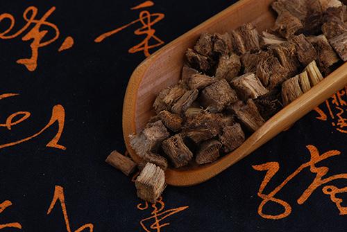 葛根