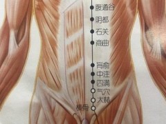 阴都的准确位置图 阴都的功效与作用