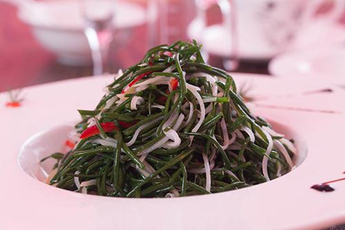 沙葱