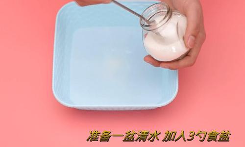 蓝莓