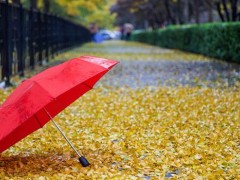 立秋下雨好吗