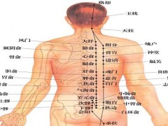 足太阳膀胱经的准确位置图 足太阳膀胱经循行路线