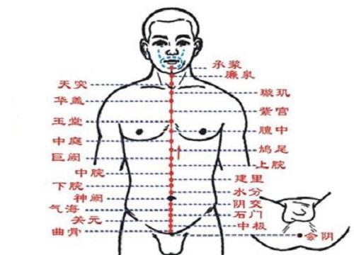任脉