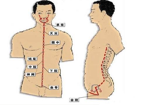 任脉