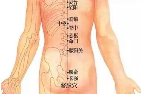 督脉