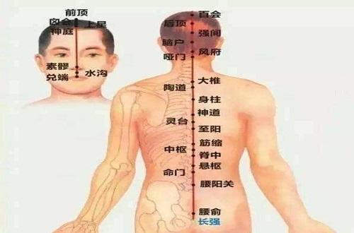 督脉