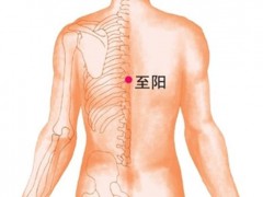 男性拔罐的位置图图解 拔罐拔哪个位置能壮阳