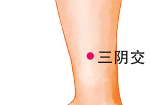 拔罐壮阳三阴交