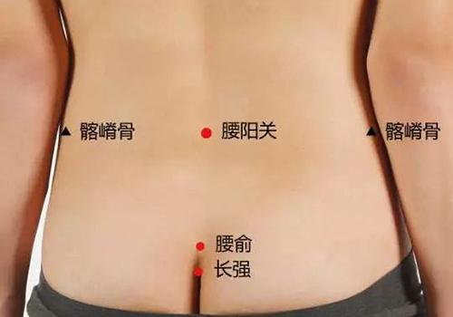 拔罐壮阳腰阳关
