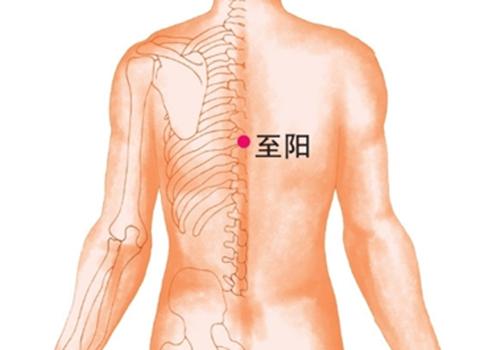 拔罐壮阳至阳穴