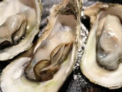 吃生蚝壮阳吗 生蚝怎么吃壮阳效果最好的
