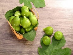 无花果叶治痔疮方法 无花果治痔疮偏方大全