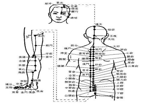 膀胱經不通的症狀 膀胱經不通怎麼調理_美健品招商網