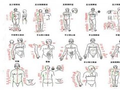十二经络运行时间 十二经络走向图
