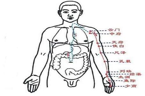 3,手陽明大腸經運行時間:卯時(5:00-7:00)手陽明大腸經在食指與手太陰