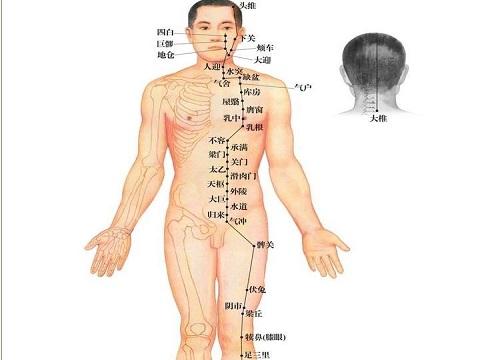 十二经络