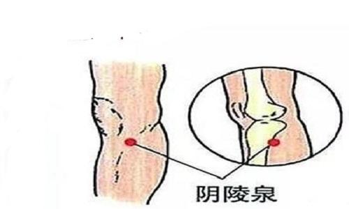 按阴陵泉疼图片