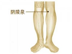 阴陵泉按压痛说明什么 阴陵泉的功效与作用