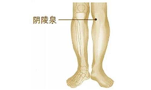 阴陵泉