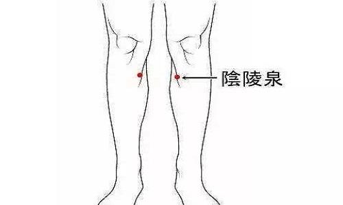 阴陵泉