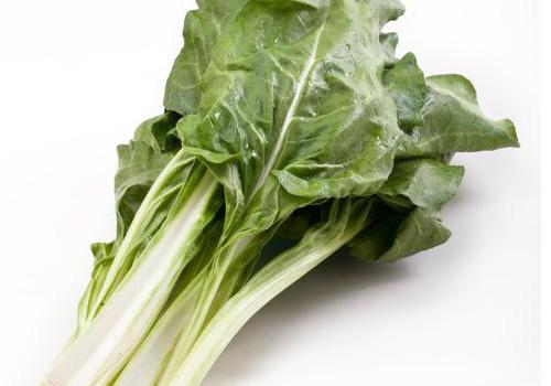 牛皮菜