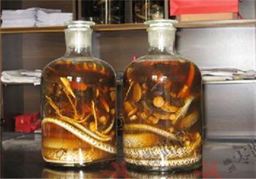 蛇酒 蛇酒