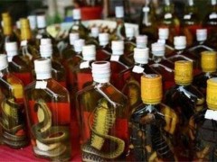 蛇酒的功效与作用