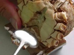 螃蟹哪里不能吃图解 螃蟹哪里最寒