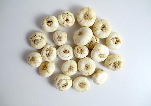 川贝
