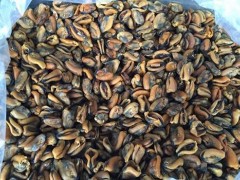 淡菜为什么叫淡菜 淡菜是什么东西