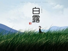 白露节气是什么意思