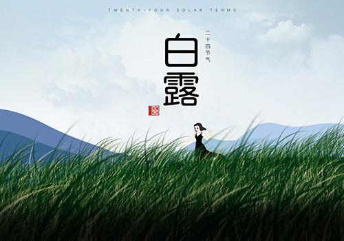 白露