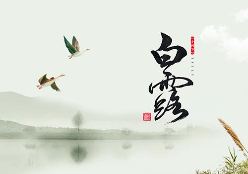 白露