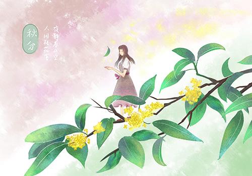 秋分