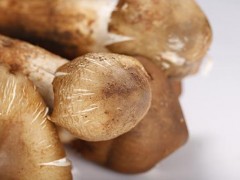 菌类吃了有什么好处 菌类吃多了好吗