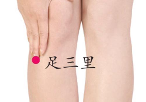 足三里 足三里