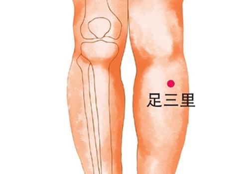 足三里