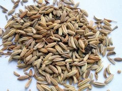 痛经吃什么食物能缓解疼痛 吃这8种食物缓解痛经