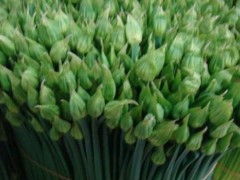 韭菜花的功效 韭菜花有什么营养