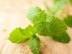 香花菜的营养价值 香花菜的食用方法