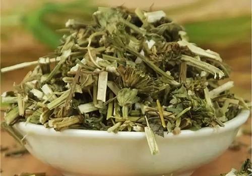 益母草
