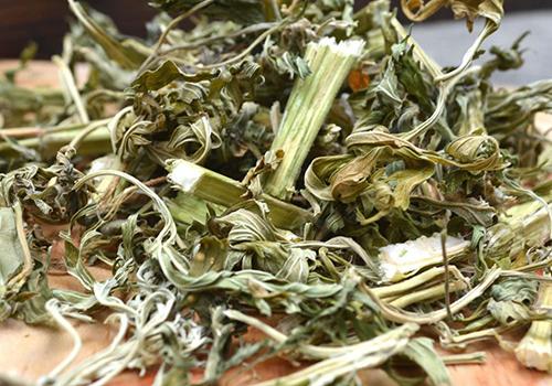 益母草