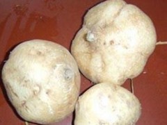 沙葛有什么功效 沙葛的营养价值
