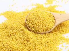 小米怎么煮好吃又营养 小米粥的做法大全
