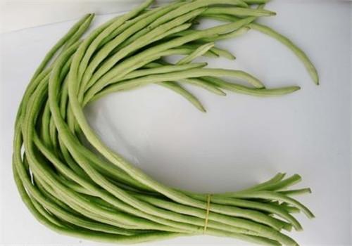 豇豆 豇豆