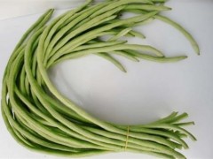 豇豆怎么做好吃 豇豆有什么营养价值