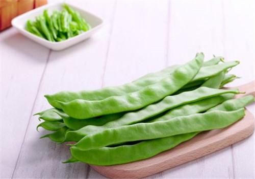 扁豆